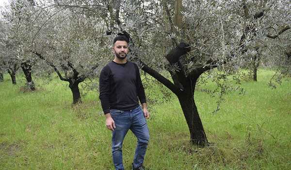 azienda olivicola semprebuono