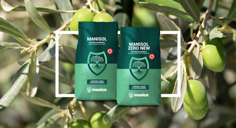 manisol manica