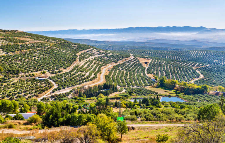 siccità in spagna