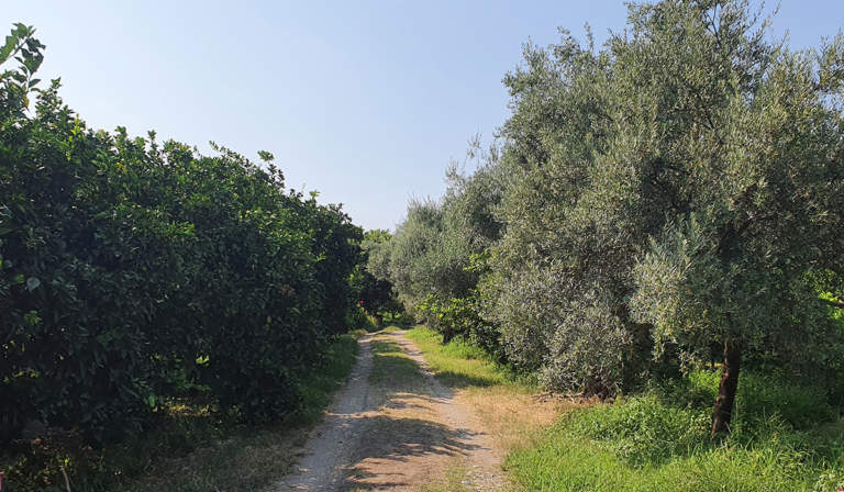 masseria biologica