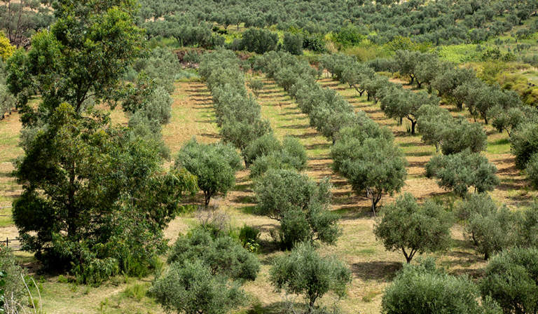progetto novaterra