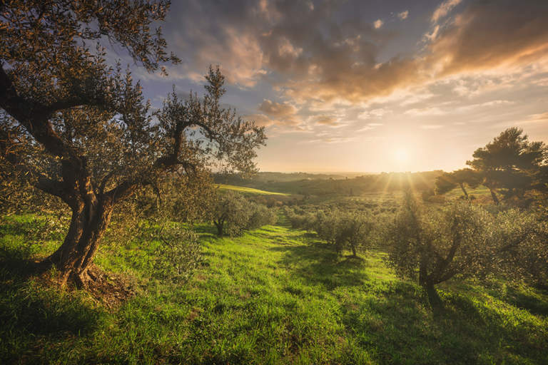 regione toscana bando paesaggistica