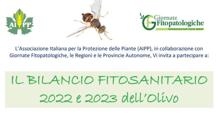 mosca olivo aipp italia