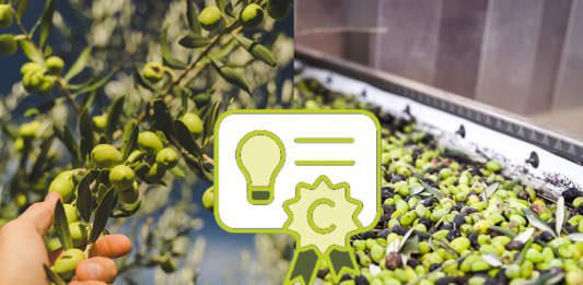 brevetto olearia olivicola