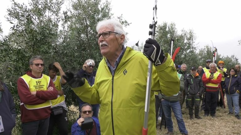 forbici d'oro 2024