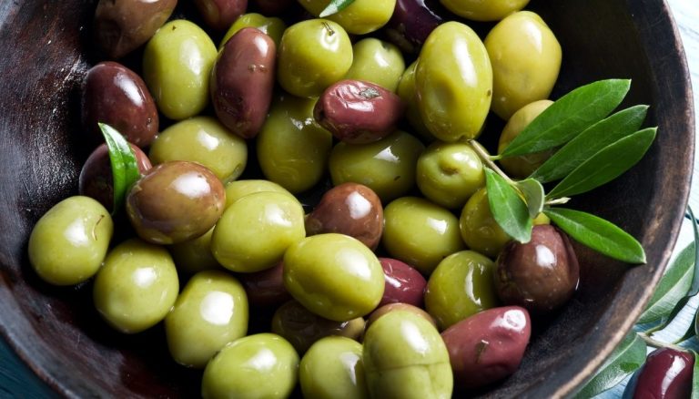 ercole olivario 2024 olive
