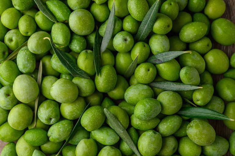 cernita densimetrica olio
