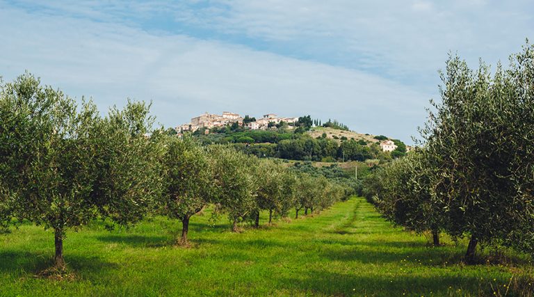 fondazione massimo neri