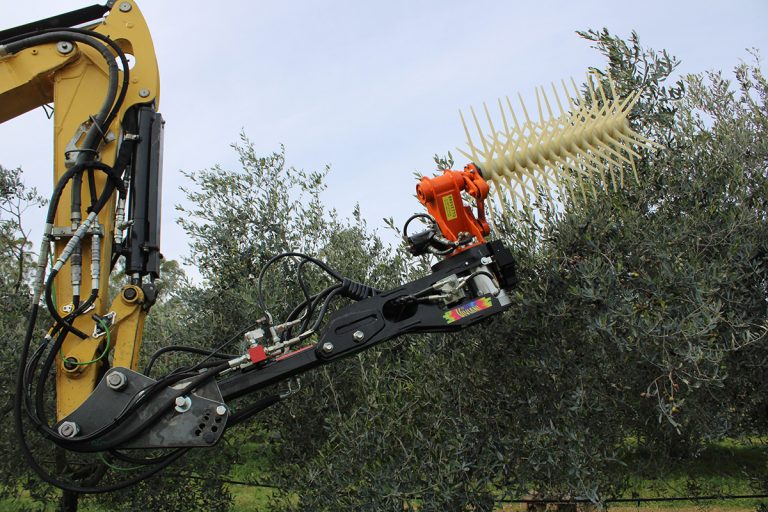 robot raccogli olive