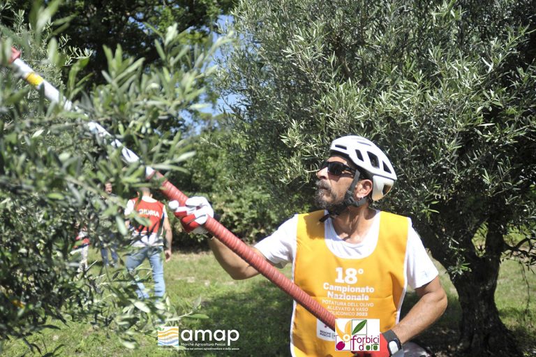 forbici oro 2025