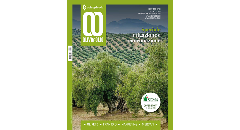 olivo e olio