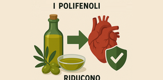 olio extravergine di oliva polifenoli