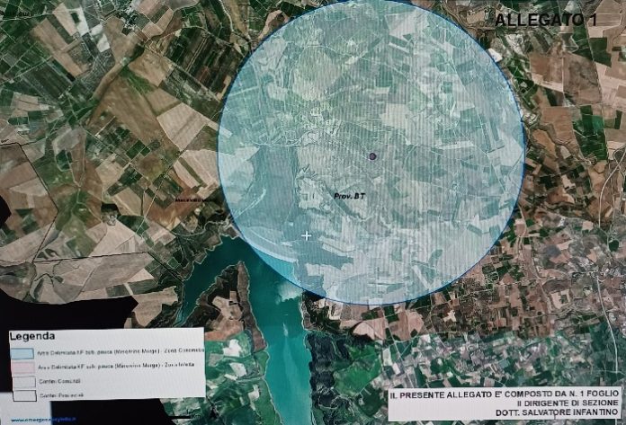 xylella a minervino
