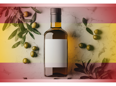 olio di oliva spagna