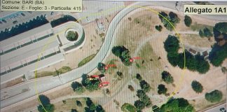 xylella fastidiosa pauca