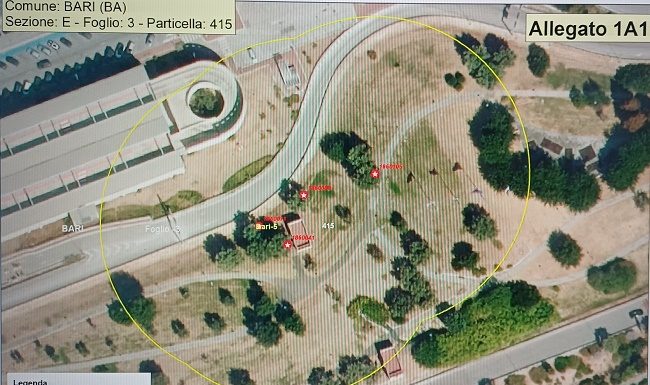 xylella fastidiosa pauca
