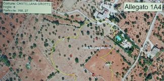 xylella fastidiosa pauca