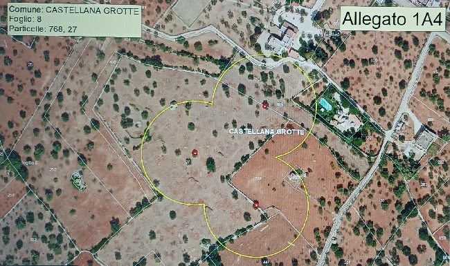 xylella fastidiosa pauca