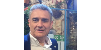 olivicoltura italiana