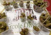 ercole olivario olive da mensa