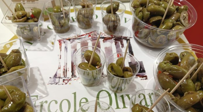 ercole olivario olive da mensa