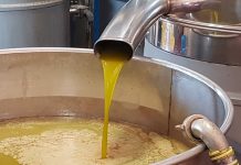 olio di oliva classificazione