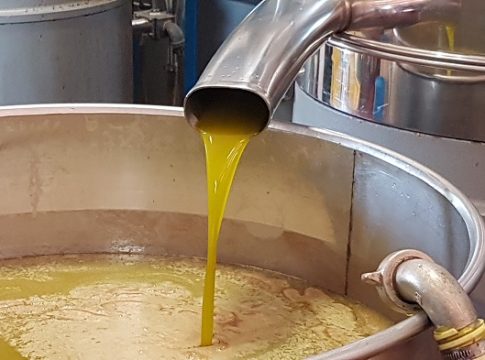 olio di oliva classificazione
