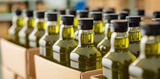 olio campagna 2024-2025