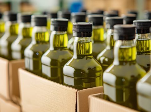 olio campagna 2024-2025