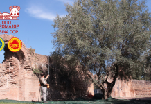 olio di roma igp