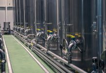 Campagna olearia 2025/26, frantoi in piena attività campagna olearia 2025 2026