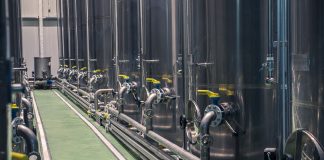 campagna olearia 2025 2026