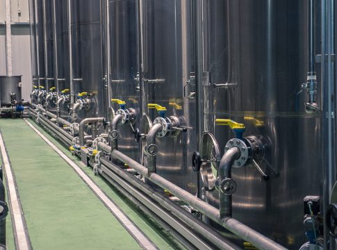 Campagna olearia 2025/26, frantoi in piena attività campagna olearia 2025 2026