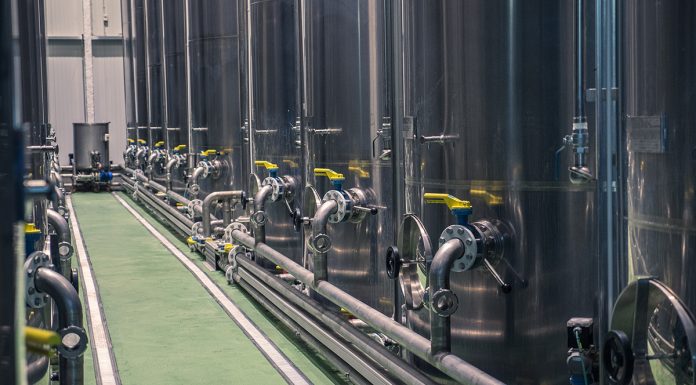 Campagna olearia 2025/26, frantoi in piena attività campagna olearia 2025 2026