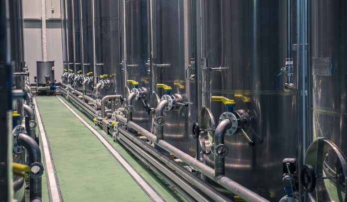 taniche in frantoio oleario campagna olearia 2025 2026