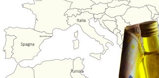 olio nord africa