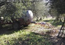 Il frantoio moderno non produce solo olio frantoio