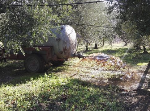Il frantoio moderno non produce solo olio frantoio