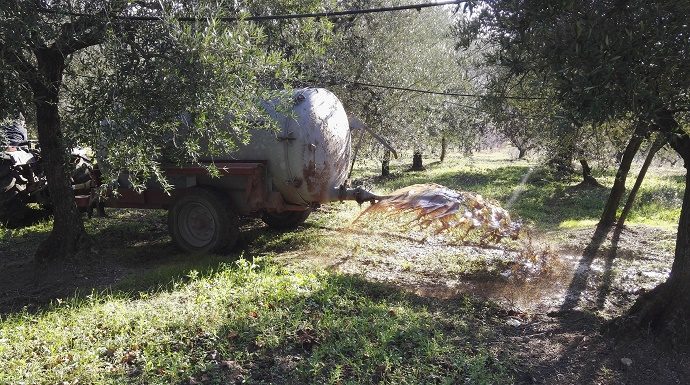 Il frantoio moderno non produce solo olio frantoio