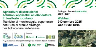 Webinar “Agricoltura di precisione: soluzioni applicabili all’olivicoltura in territorio montano”