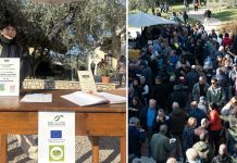 L’extravergine spiegato con l’assaggio al frantoio Salvagno assaggio olio