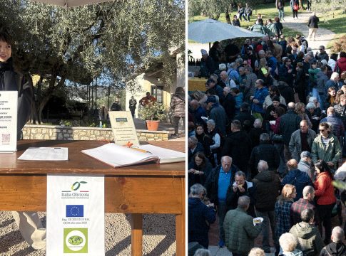 L’extravergine spiegato con l’assaggio al frantoio Salvagno assaggio olio