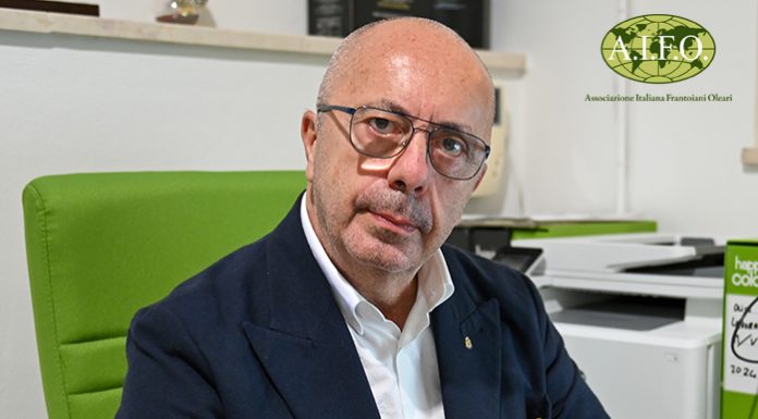 Alberto Amoroso (Aifo): «Nel frantoio nasce il miracolo dell’olio italiano» amoroso