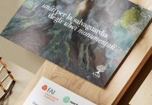 piana olivi monumentali