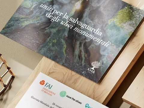 piana olivi monumentali