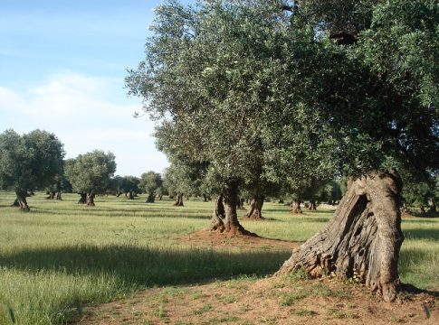 gestione sostenibile