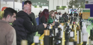 EVOLIO Expo 2026, Bari celebra l’eccellenza dell’olio evo evolio expo 2026
