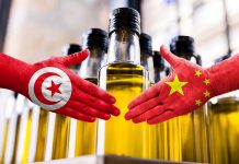 Tunisia in rotta verso la Cina, l’olio d’oliva punta a conquistare Wuhan tunisia olio