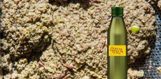 Olio di sansa in Italia: numeri, processi e sostenibilità olio di sansa di oliva