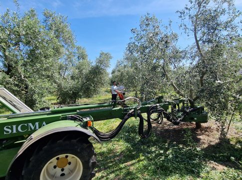 PULP, quando la potatura fa vibrare la raccolta potatura olivo pulp